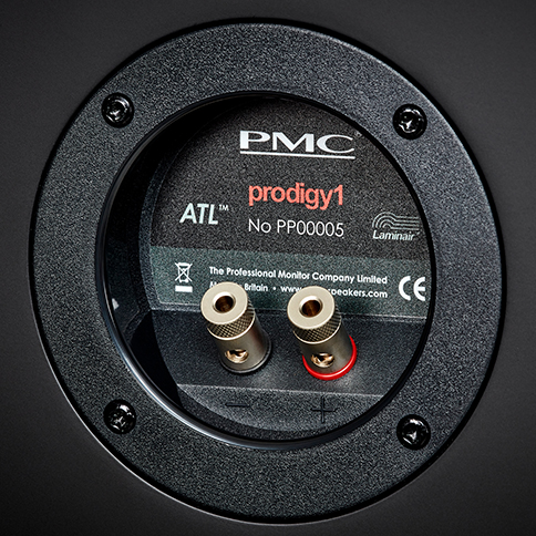 Prodigy Series Gallery