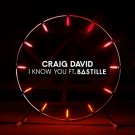 Craig David –  I Know You (feat. Bastille)